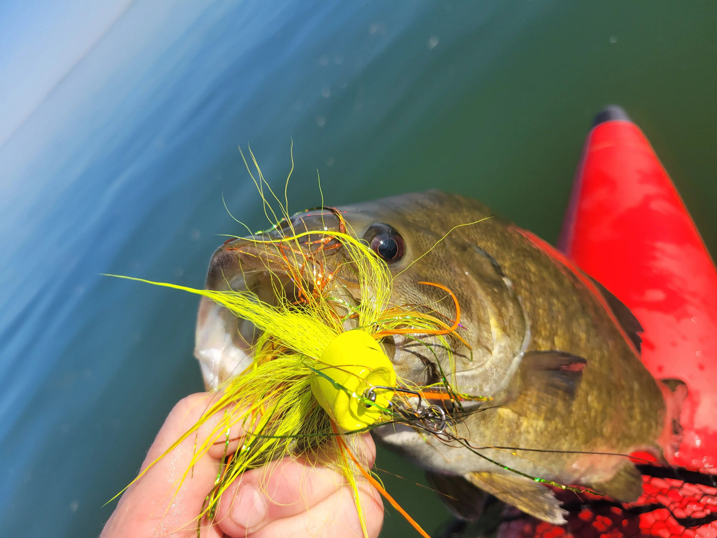 Flewed, Chewed & Renewed