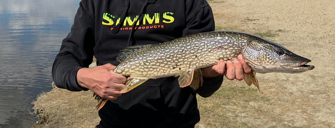 ND Fly Fishing Report May 4, 2026