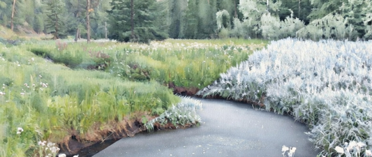 The promise of spring could spring.... at any minute, please.