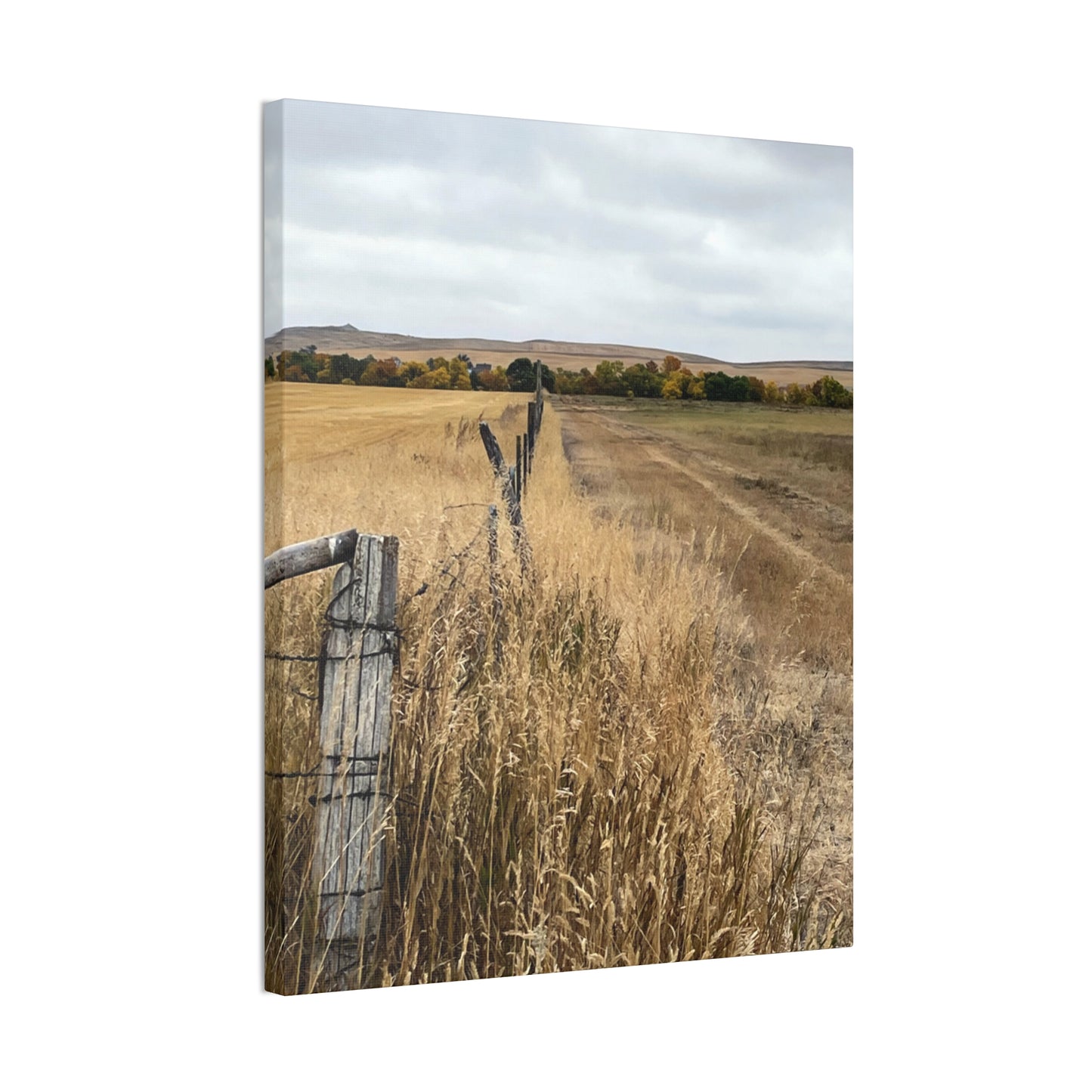 "Pheasant Tail Harvest" on canvas