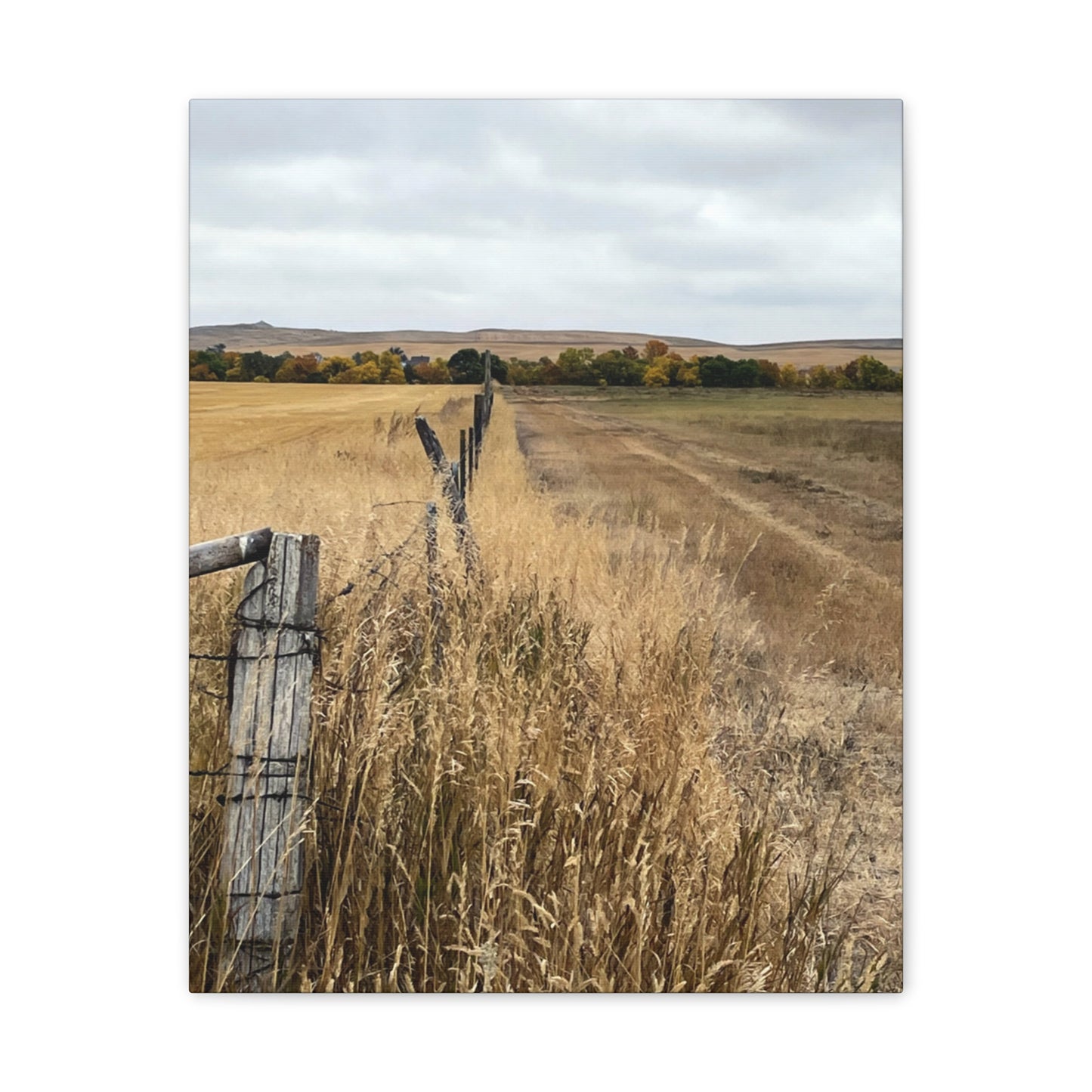"Pheasant Tail Harvest" on canvas