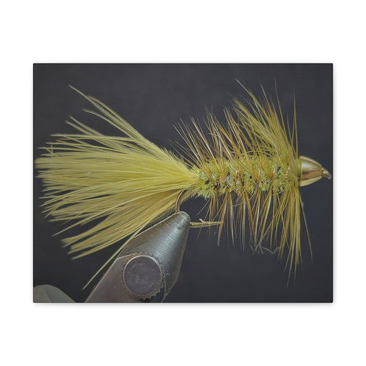 Bru Bugger Fly Fishing Canvas Art