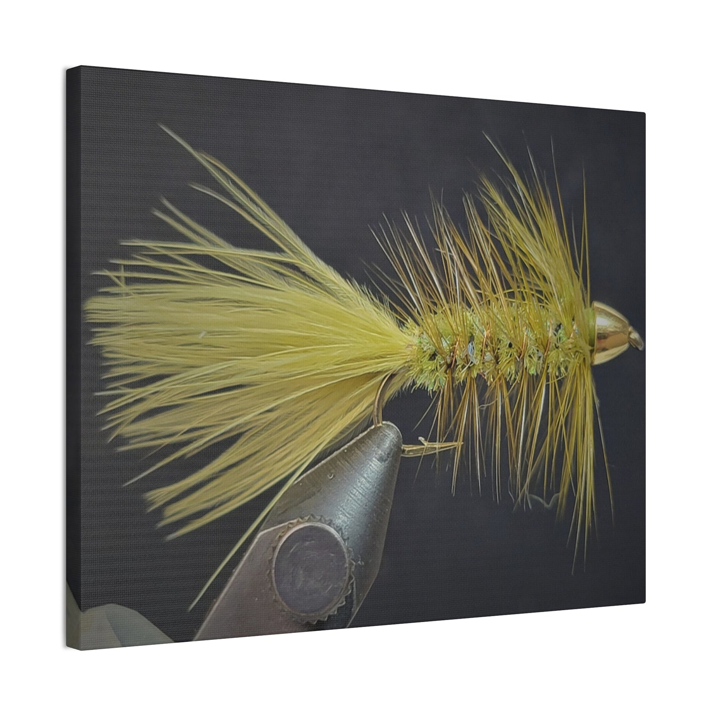 Bru Bugger Fly Fishing Canvas Art